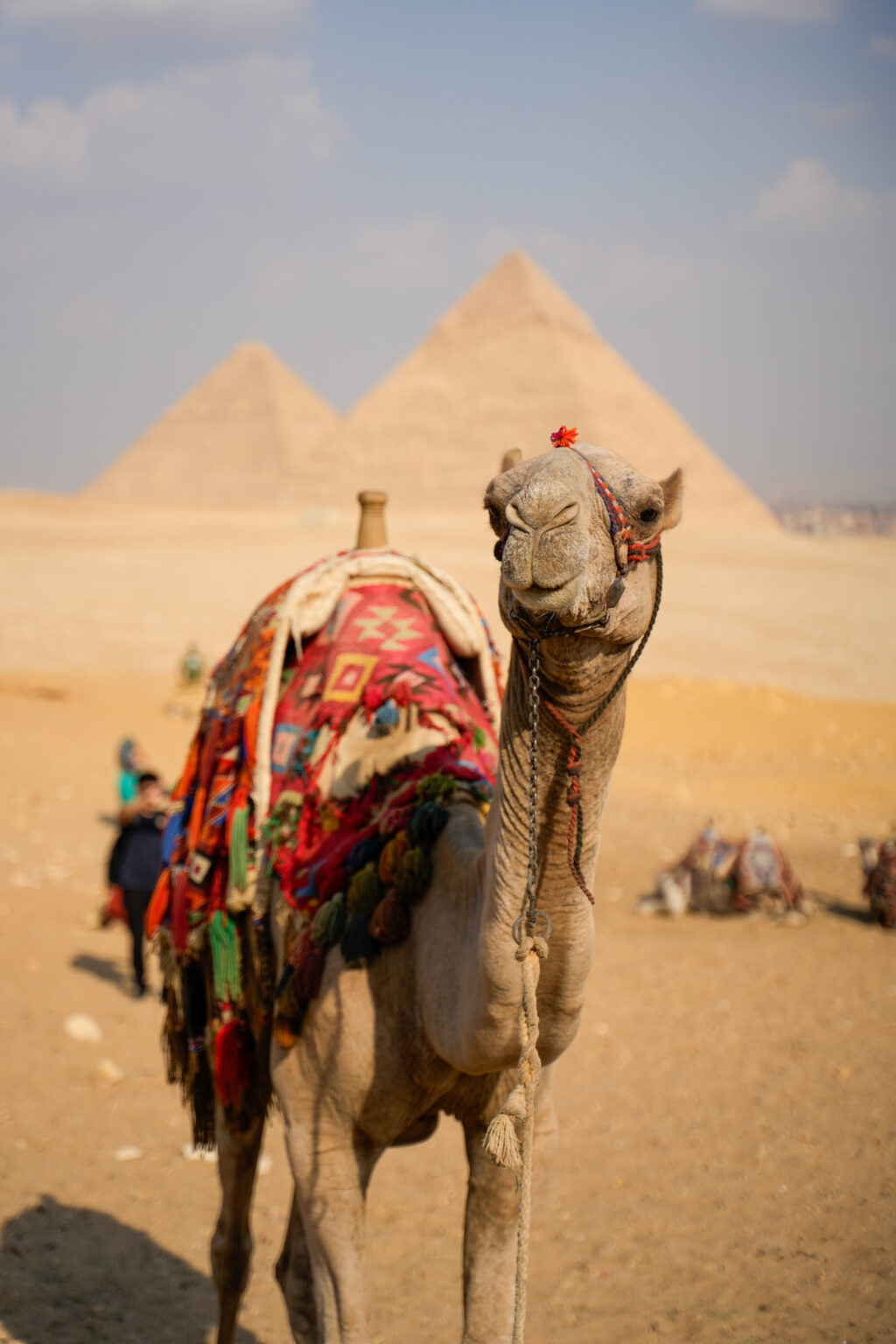 Viaje en Grupo a Egipto