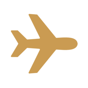 Logo avion
